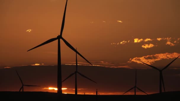 Moinhos de vento ou turbina eólica à luz do nascer do sol — Vídeo de Stock