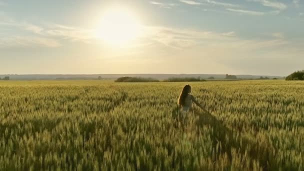 Mädchen läuft bei Sonnenuntergang auf Feld und fliegt herum — Stockvideo