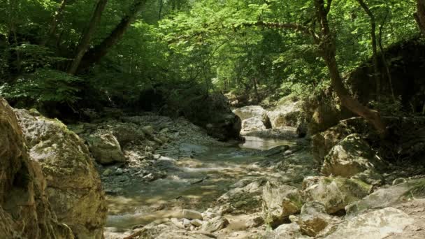 山区河流在峡谷 — 图库视频影像