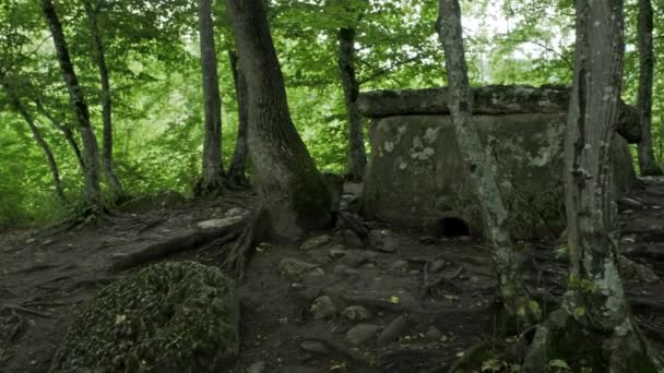 Dolmen del Caucaso nella foresta estiva — Video Stock