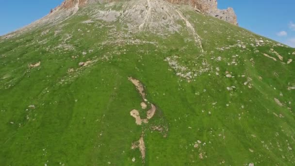 Suocera denti Caucaso montagna — Video Stock