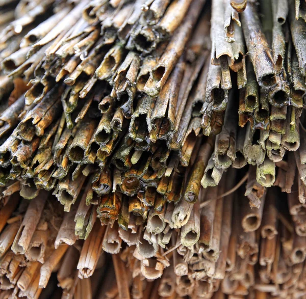 Thatched roof house detail of straw eaves — Stock Fotó