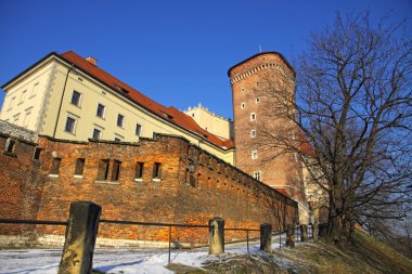 wawel Royal castle Krakow