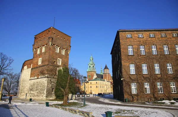 Royal Wawel Castle complex à Cracovie, Pologne — Photo