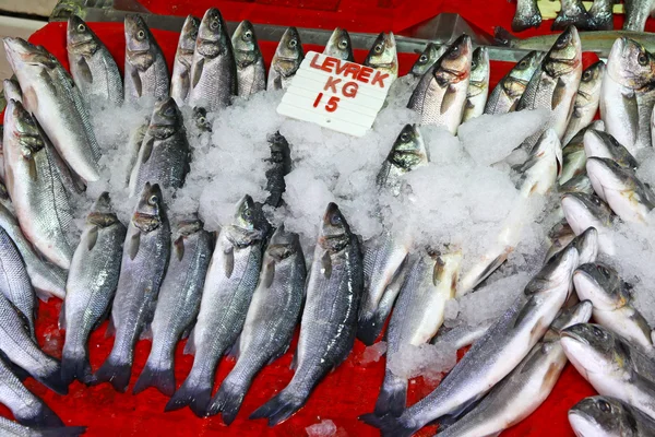 Zeebaars vissen in ijs op een marktkraam — Stockfoto