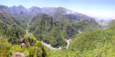 Rainforest hills madeira Adası, Portekiz