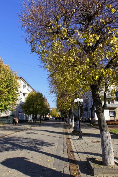 Op de straat lutsk stad — Stockfoto