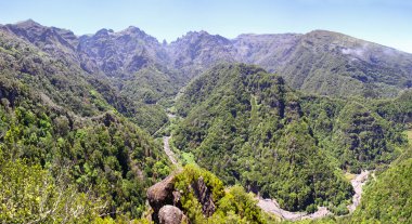 Rainforest hills madeira Adası, Portekiz