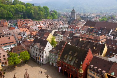 Bird eye view of buildings in Freiburg im Breisgau, Germany clipart