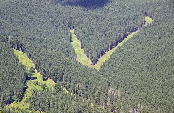 Tracks of Bukovel ski resort in summer, Carpathian mountains — Stock Photo, Image