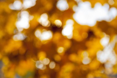 Soyut bokeh arkaplanı