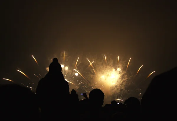 Gente viendo fuegos artificiales de Año Nuevo en Zurich, Suiza —  Fotos de Stock