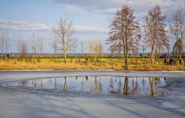 Winter view of lakes and parks near Kyiv Sea, Ukraine — Stock Photo, Image