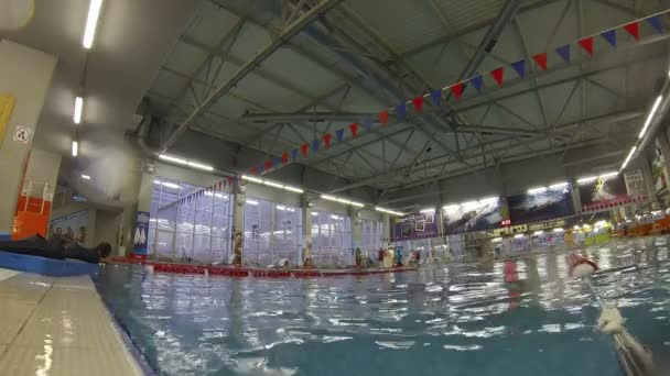Люди в плавати в басейні — стокове відео