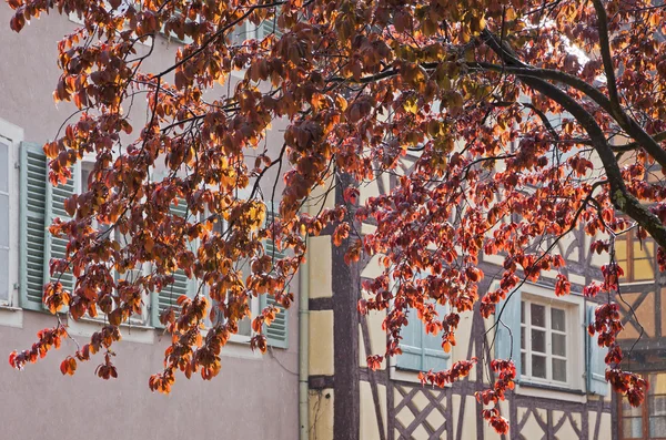 Malebné město pohled během letní déšť. Colmar, Francie — Stock fotografie