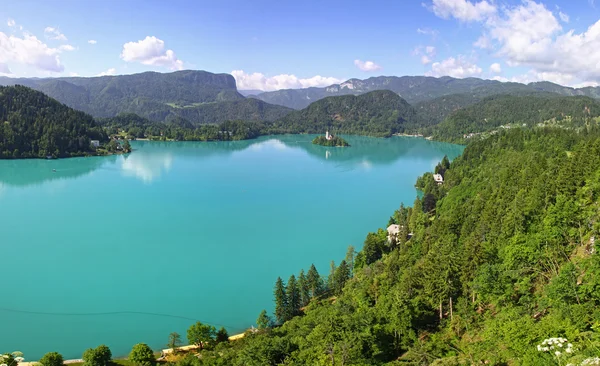 Panoramiczny widok na jezioro bled, Słowenia — Zdjęcie stockowe