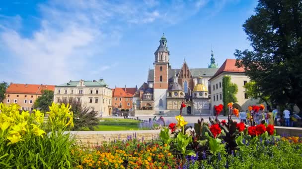 Zomer weergave van Koninklijke kasteel van wawel complex in Krakau, Polen — Stockvideo