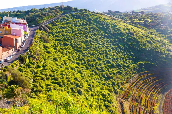 Vulkanisch Landschap Van Caldera Bandama Eiland Gran Canaria Spanje Pittoresk — Stockfoto
