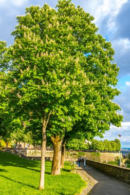 St. John 's Park' ta güneşli bir bahar akşamı (İtalyanca: Parco di San Giovanni) İtalya 'nın Lombardiya eyaletinin Bergamo şehrindeki eski bir kasaba.