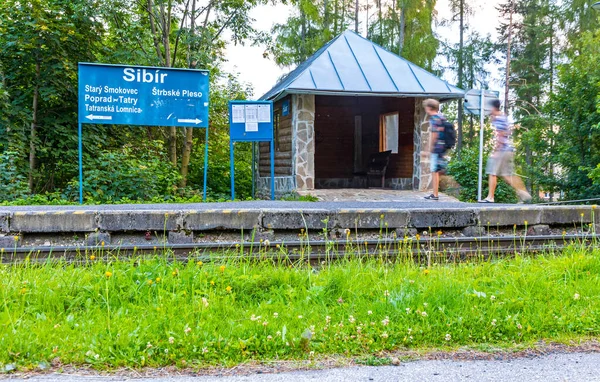 High Tatras Slovakia July 2018 Sibir Small Railway Stop Tatra — стоковое фото