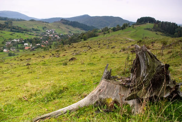 Çevre Koruma — Stok fotoğraf