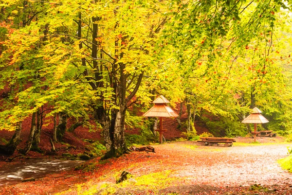 Yağmur ile kamp düşmek — Stok fotoğraf