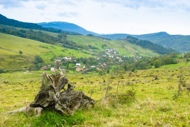 Çevre Koruma