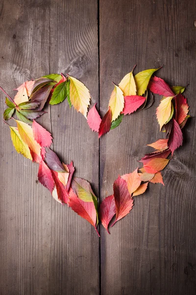 I love autumn — Stock Photo, Image