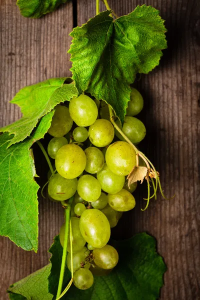 Grapes with leaves — Stock Photo, Image