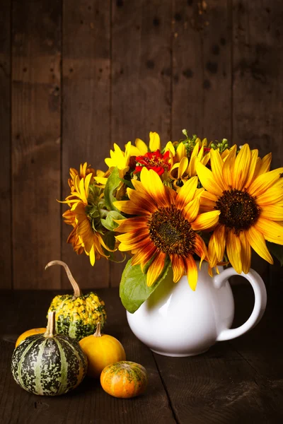 Stilleven met pompoenen — Stockfoto