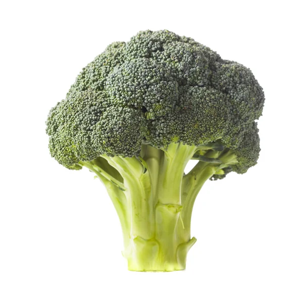Zöld brokkoli "fa" — Stock Fotó