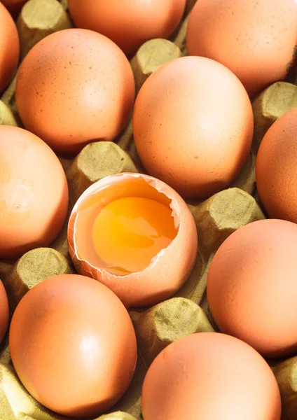 Eggs in cardboard — Stock Photo, Image