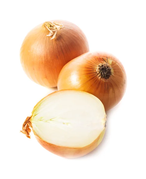 Onion bulbs isolated — Stock Photo, Image