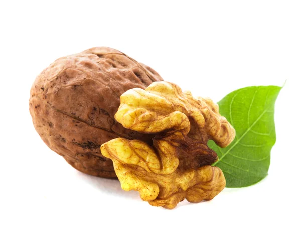 Nueces aisladas — Foto de Stock