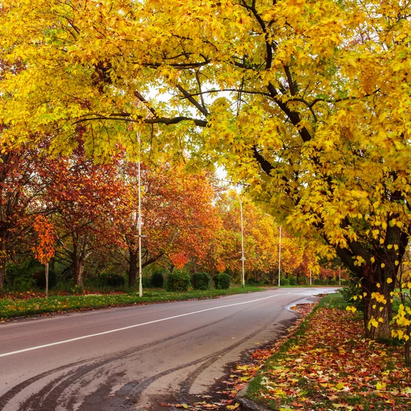 Paesaggio autunnale con strada — Foto Stock