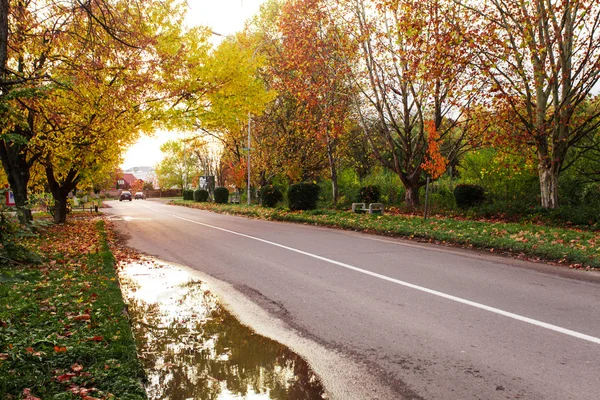 Paisaje otoñal con carretera —  Fotos de Stock