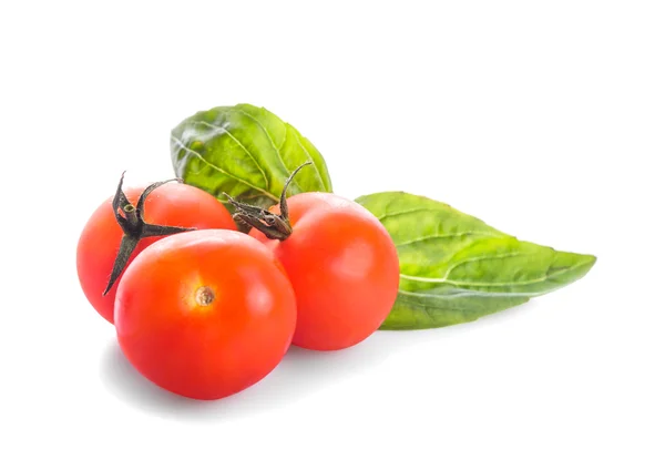 Tomaatti ja basilika — kuvapankkivalokuva
