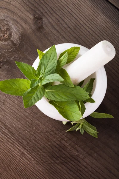 Fresh green mint — Stock Photo, Image