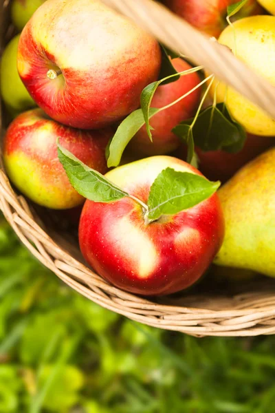 Äpplen och persikor på gräs — Stockfoto