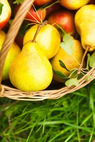 Appels en perziken op gras — Stockfoto