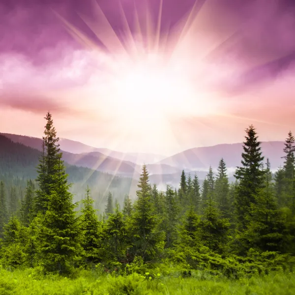 Schöne Landschaft — Stockfoto