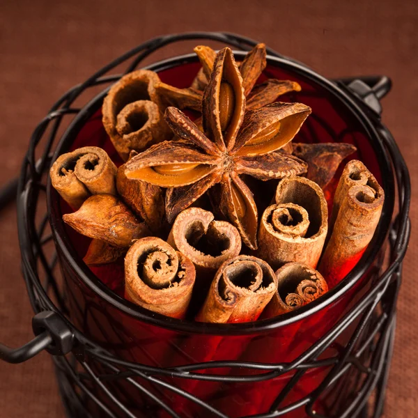 Palitos de canela y estrellas de anís — Foto de Stock