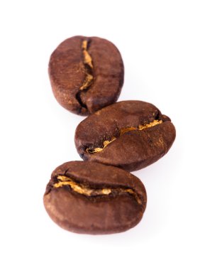 kahve çekirdekleri izole