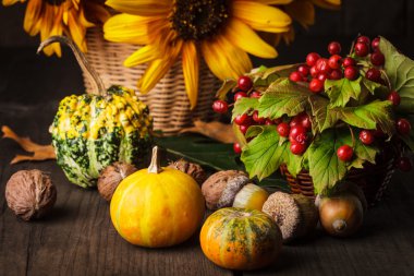 Natürmort renkler sonbahar