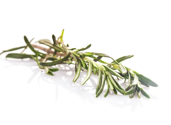 Rosemary leaf isolated — Stock Photo, Image