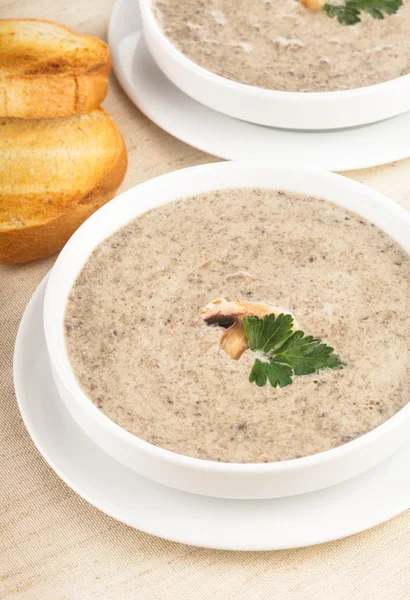 Soupe à la crème aux champignons — Photo