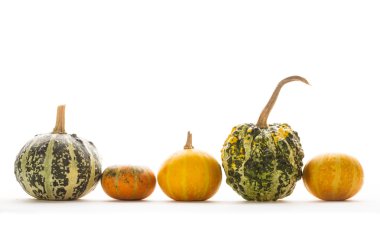 Dekoratif kabak izole