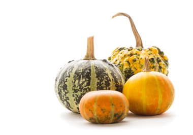 Dekoratif kabak izole