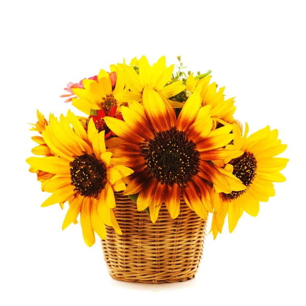 Sonnenblumen im Korb isoliert — Stockfoto