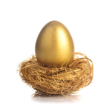 golden egg in nest clipart